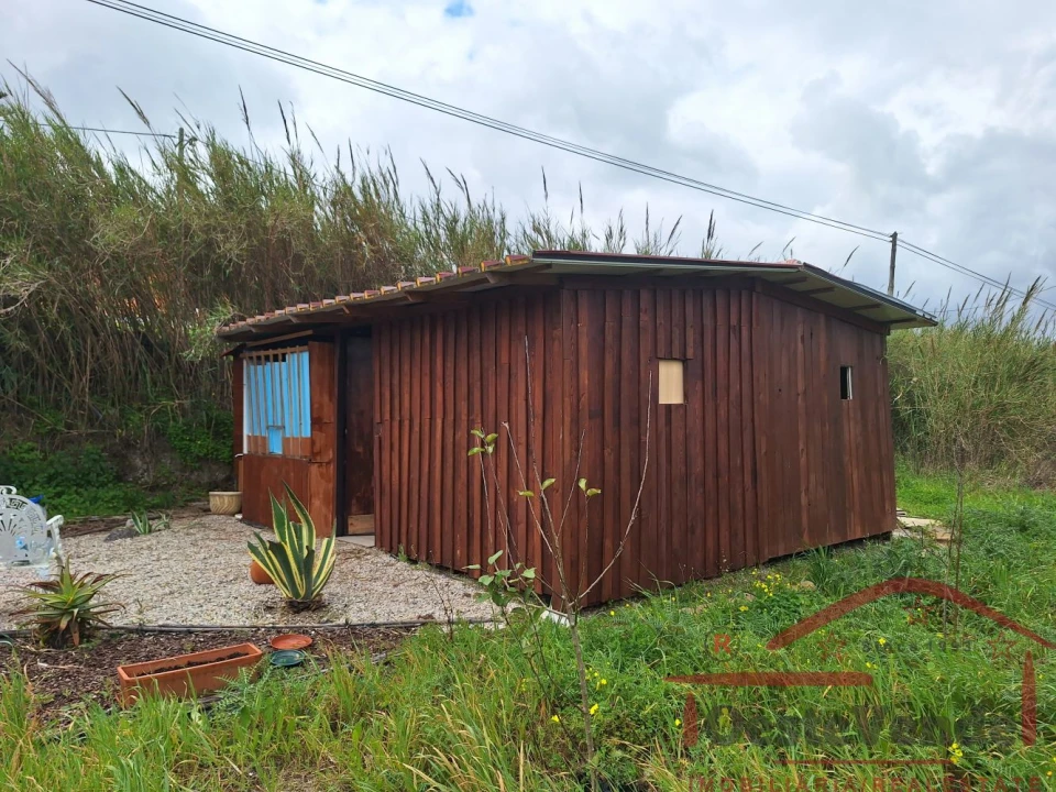 Terreno para Venda em Bombarral e Vale Covo Foto 1