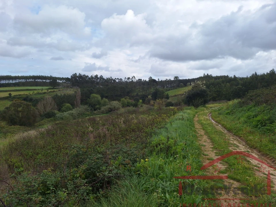 Terreno para Venda em Bombarral e Vale Covo Foto 38