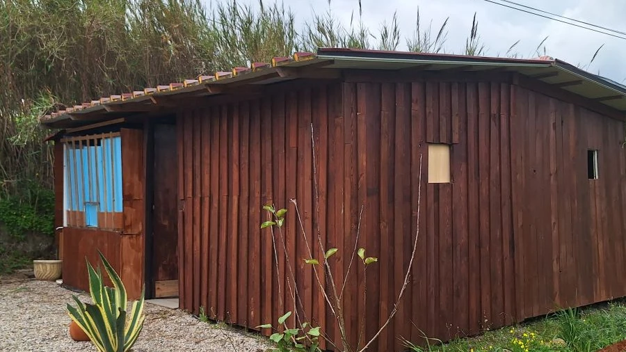 Terreno para Venda em Bombarral e Vale Covo