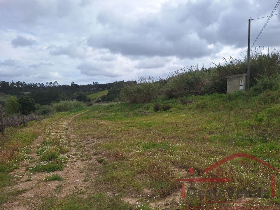 Terreno para Venda em Bombarral e Vale Covo Foto 33