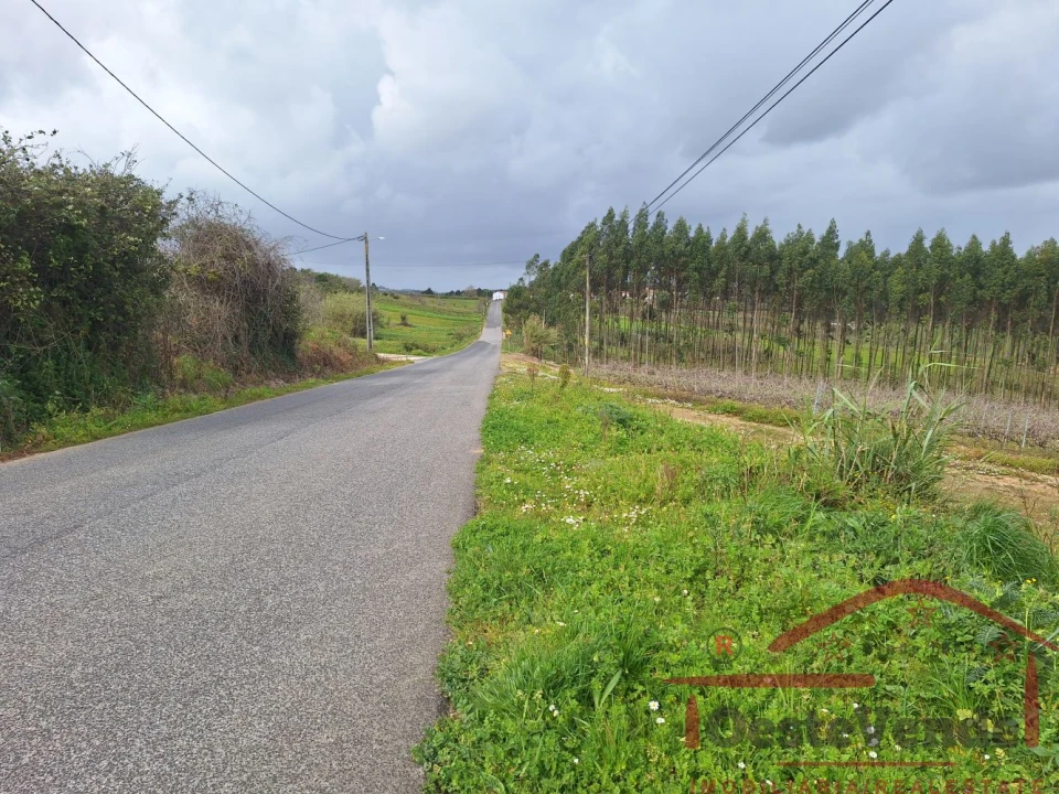 Terreno para Venda em Bombarral e Vale Covo Foto 29
