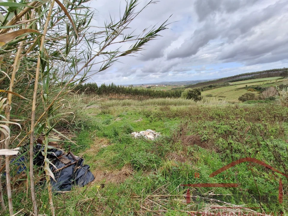 Terreno para Venda em Bombarral e Vale Covo Foto 24