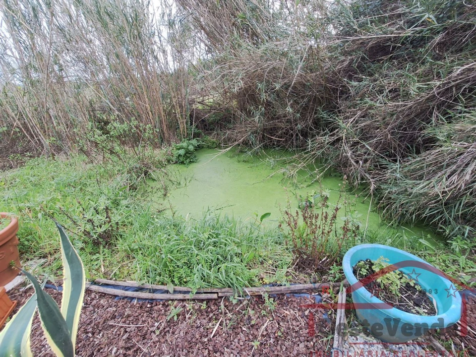 Terreno para Venda em Bombarral e Vale Covo Foto 6
