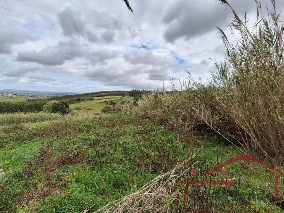 Terreno para Venda em Bombarral e Vale Covo Foto 25