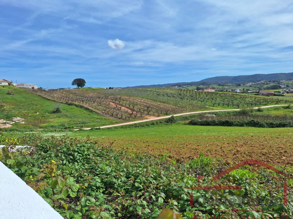 Moradia T2 para Venda em Lamas e Cercal Foto 28