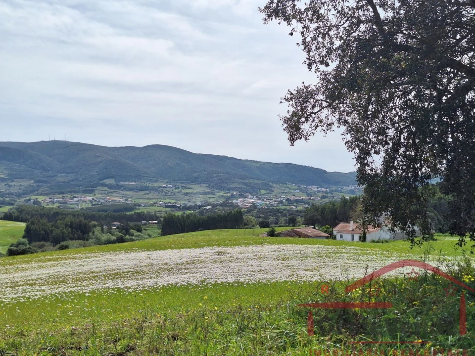 Moradia T2 para Venda em Lamas e Cercal Foto 56