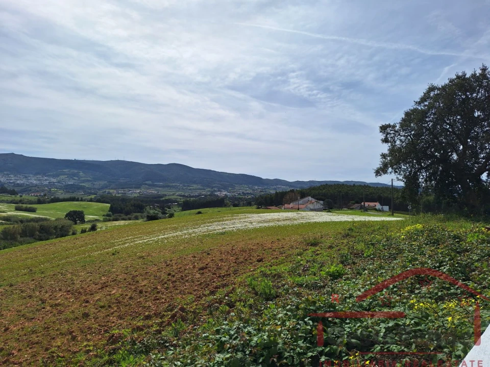 Moradia T2 para Venda em Lamas e Cercal Foto 22