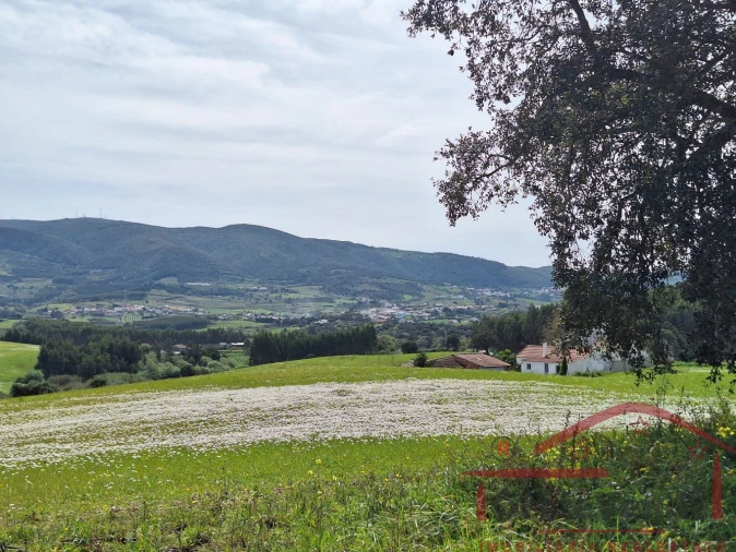 Moradia T2 para Venda em Lamas e Cercal Foto 56