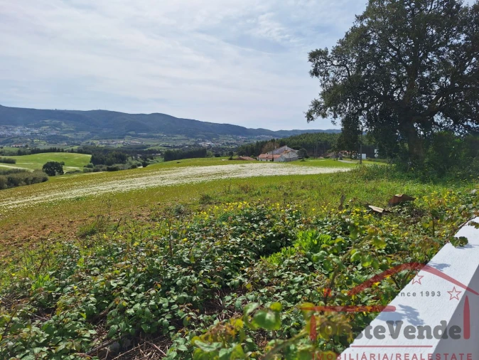 Moradia T2 para Venda em Lamas e Cercal Foto 27