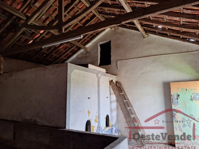 Moradia T2 para Venda em Lamas e Cercal Foto 50