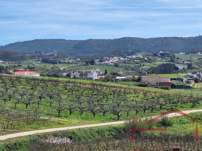 Moradia T2 para Venda em Lamas e Cercal Foto 25