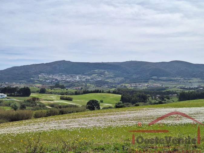 Moradia T2 para Venda em Lamas e Cercal Foto 55