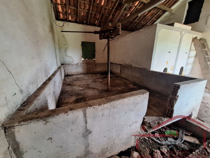 Moradia T2 para Venda em Lamas e Cercal Foto 48