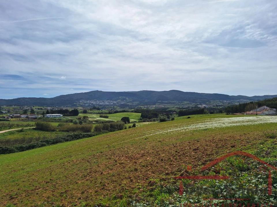 Moradia T2 para Venda em Lamas e Cercal Foto 23