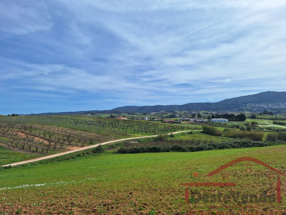 Moradia T2 para Venda em Lamas e Cercal Foto 24