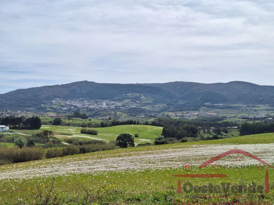 Moradia T2 para Venda em Lamas e Cercal Foto 55