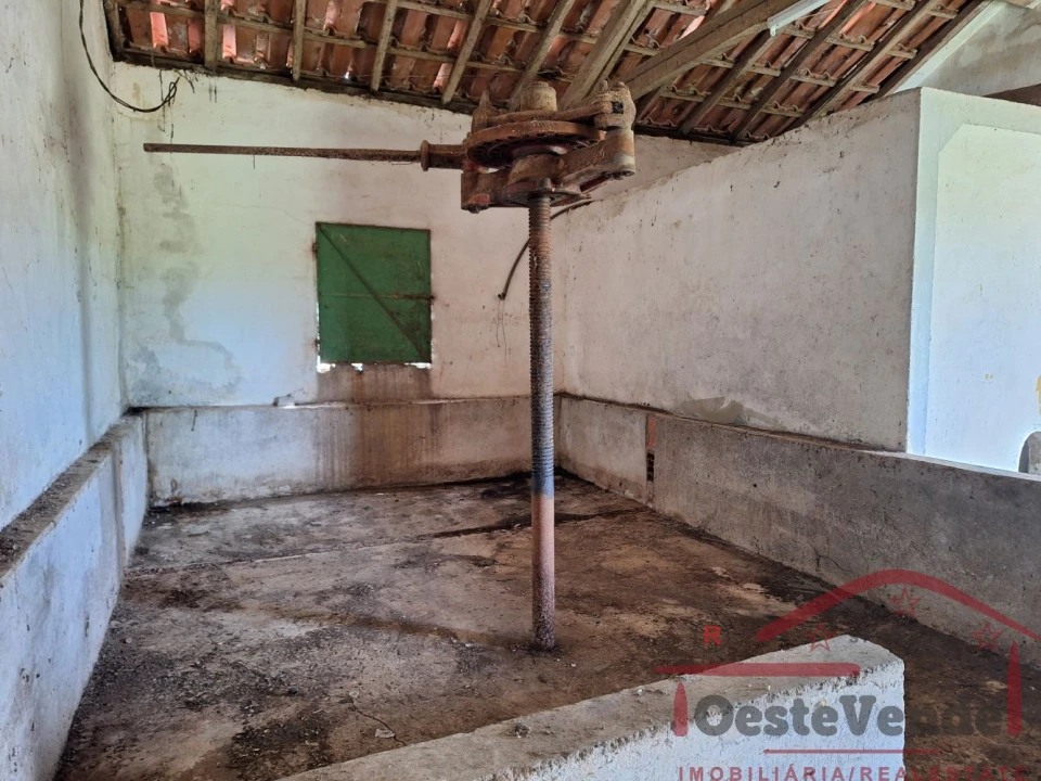 Moradia T2 para Venda em Lamas e Cercal Foto 52