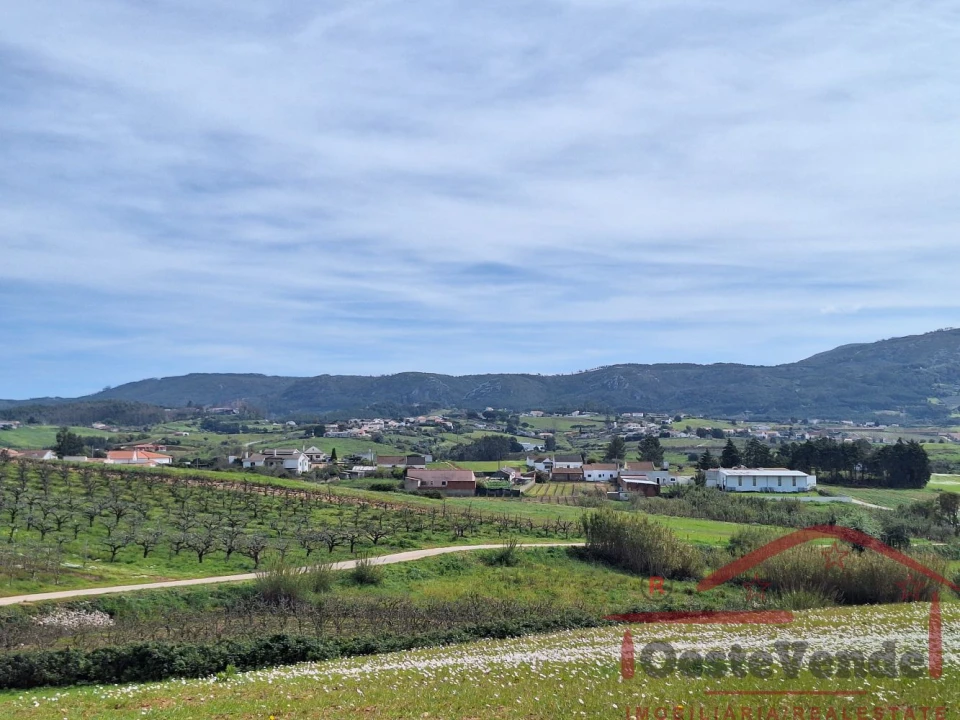 Moradia T2 para Venda em Lamas e Cercal Foto 54