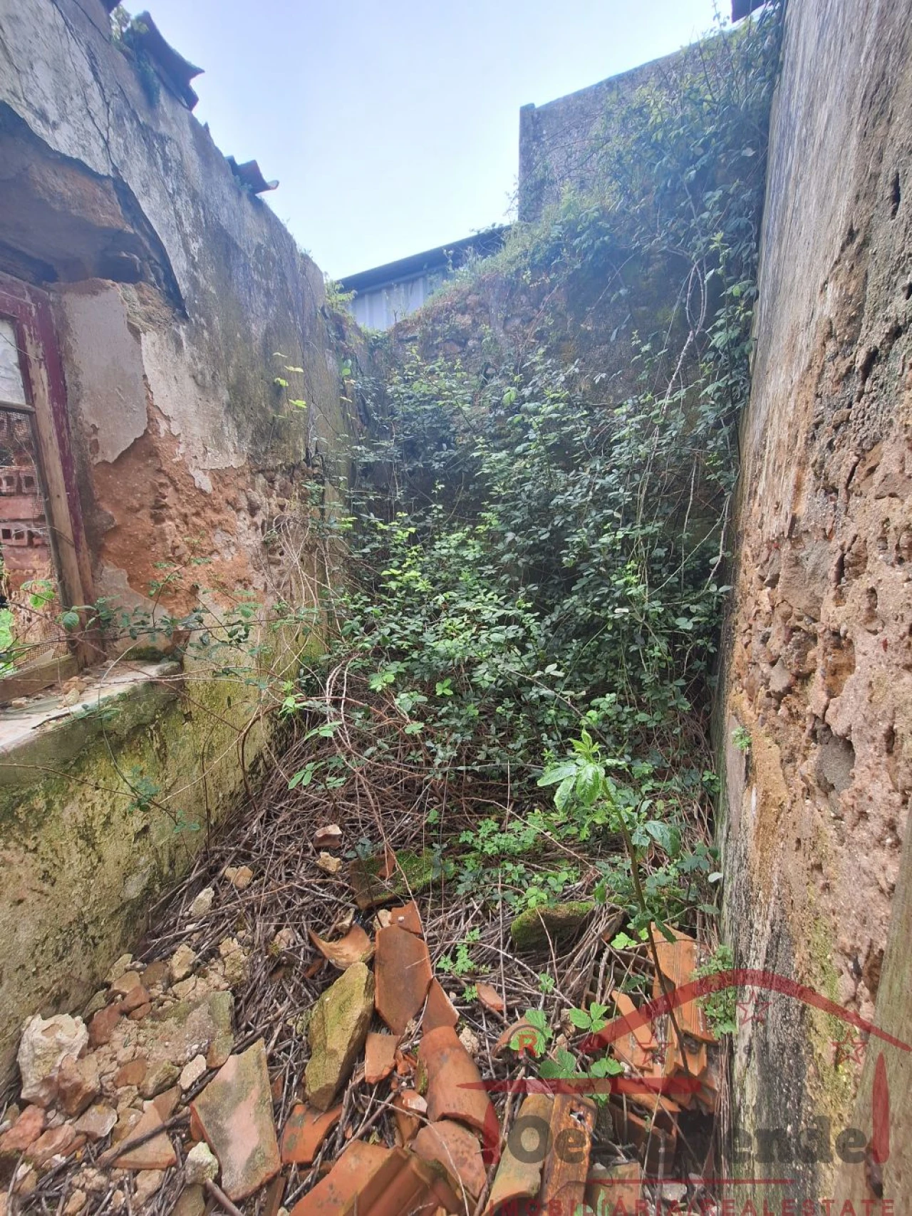 Loja para Venda em Lamas e Cercal Foto 8