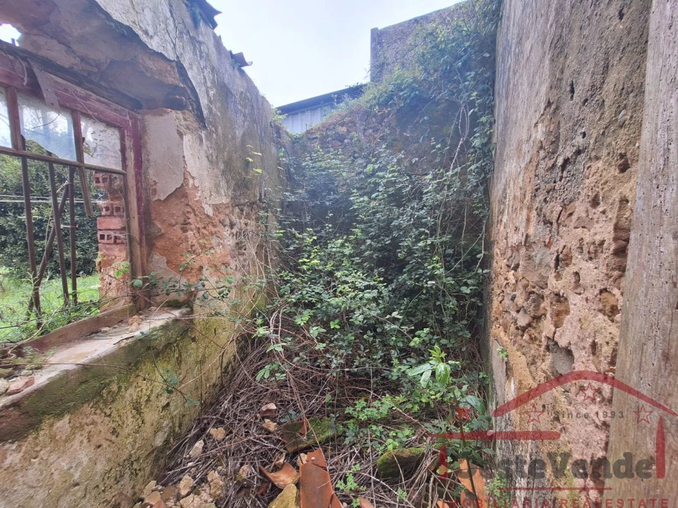 Loja para Venda em Lamas e Cercal Foto 9