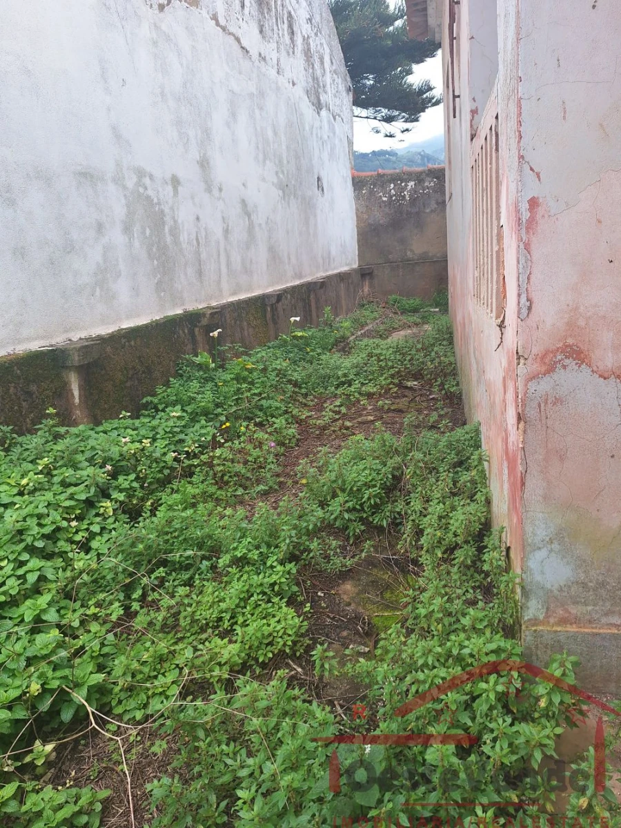 Moradia T6 para Venda em Lamas e Cercal Foto 4