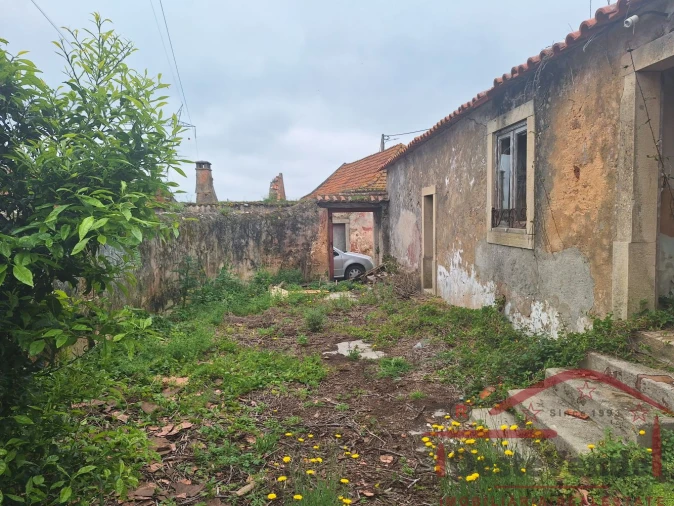 Moradia T6 para Venda em Lamas e Cercal Foto 9