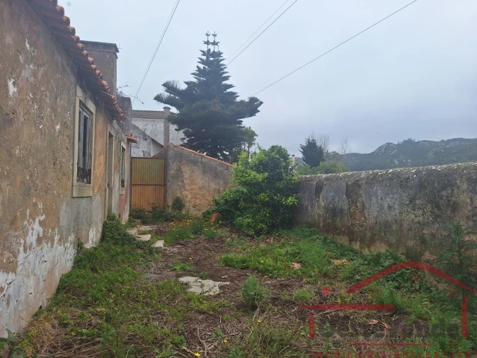 Moradia T6 para Venda em Lamas e Cercal Foto 11