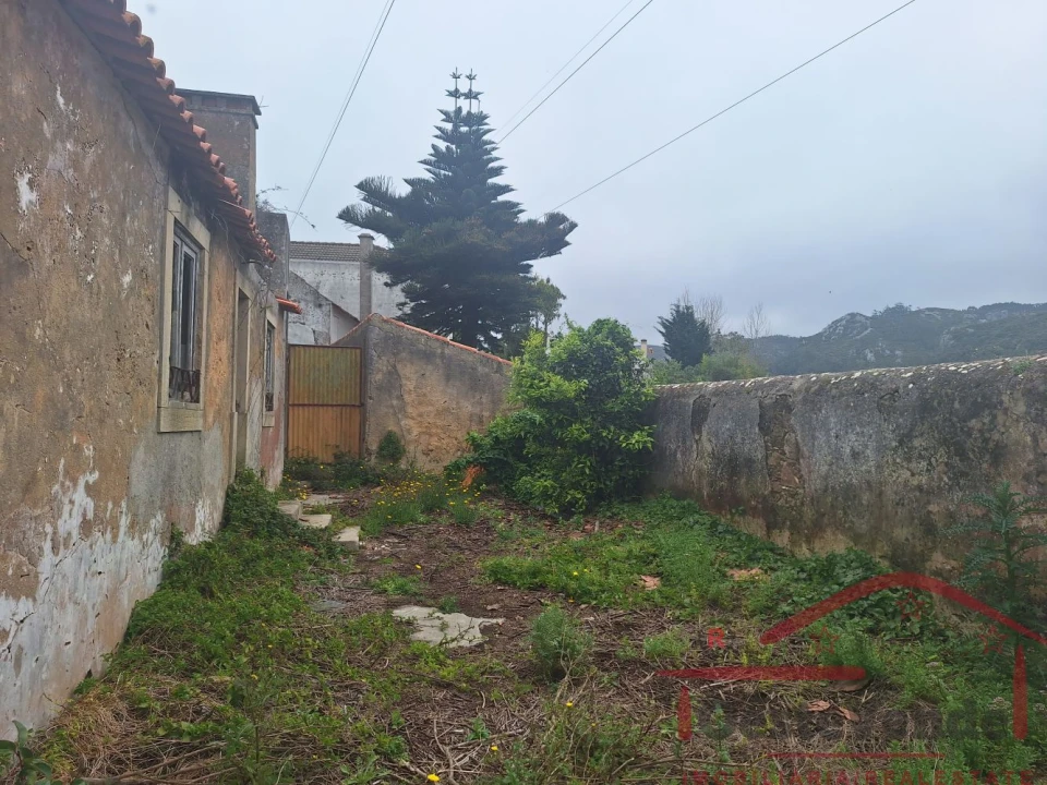 Moradia T6 para Venda em Lamas e Cercal Foto 11