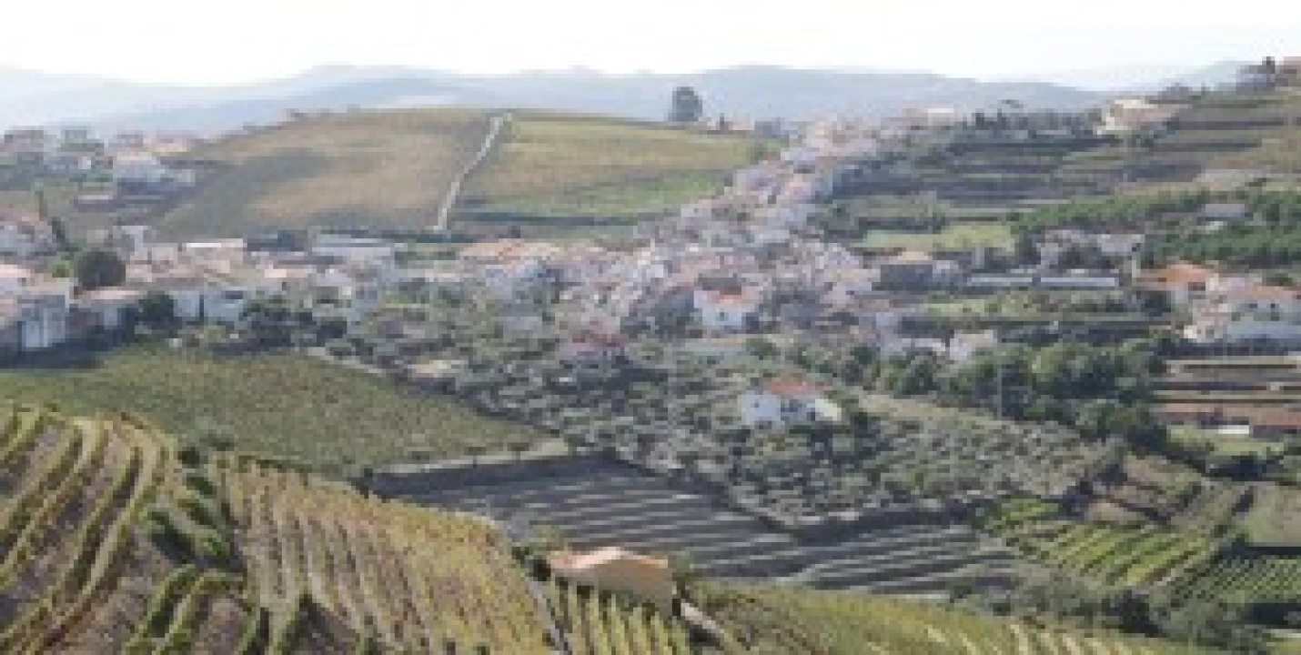 Terreno para Venda em São João da Pesqueira e Várzea de Trevões Foto 12