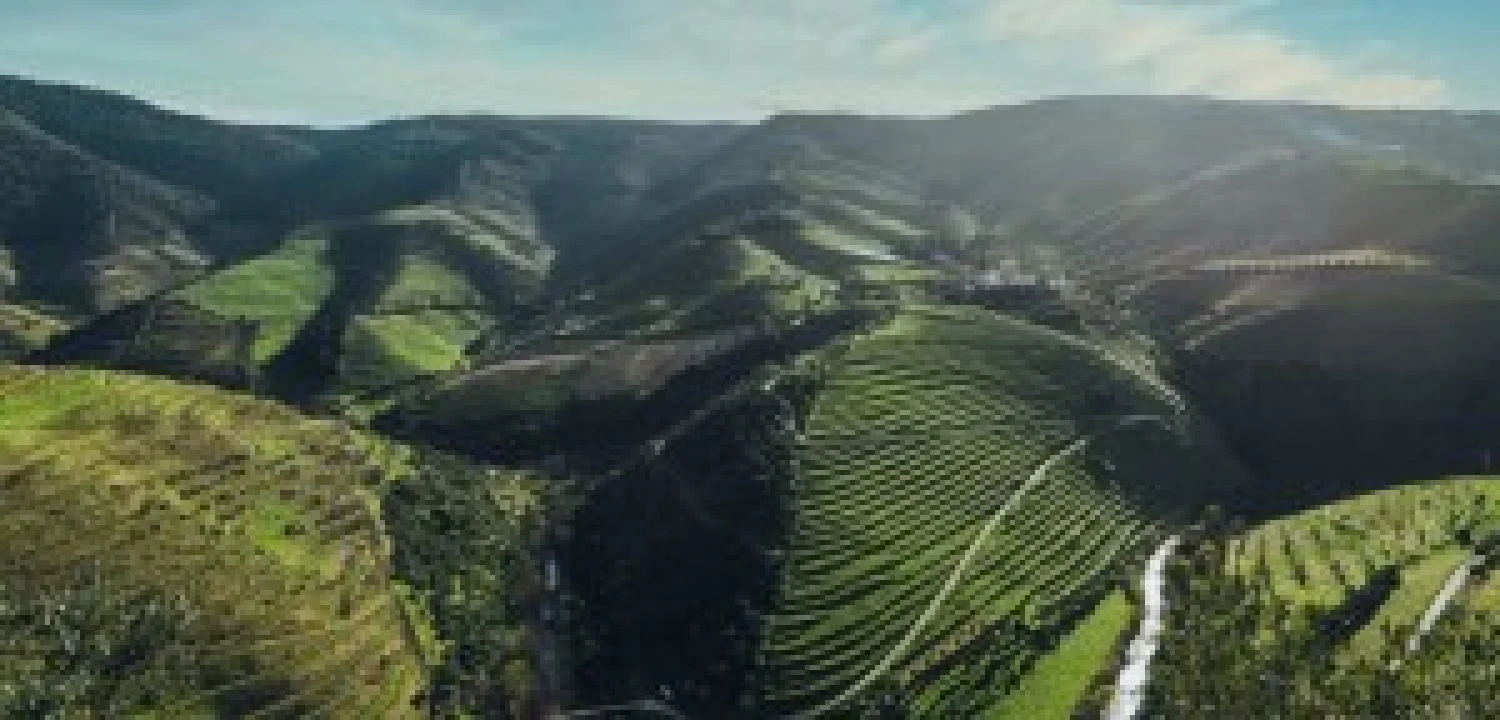 Terreno para Venda em São João da Pesqueira e Várzea de Trevões Foto 10