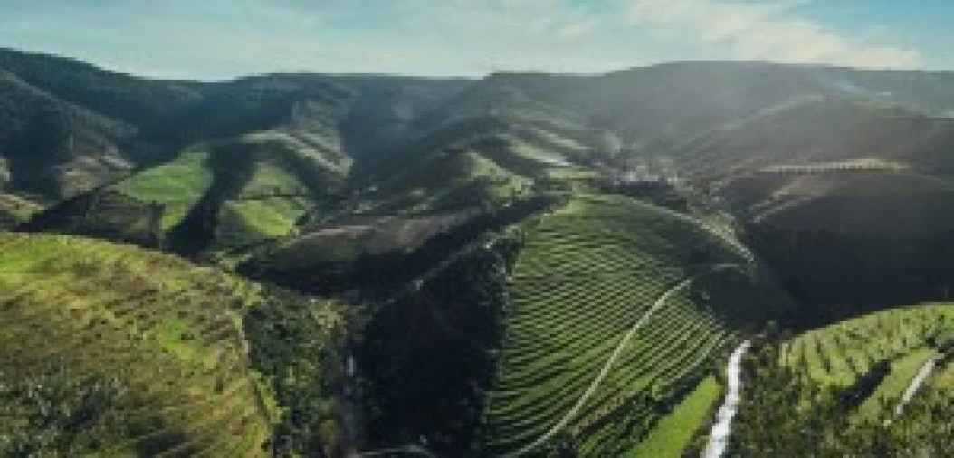 Terreno para Venda em São João da Pesqueira e Várzea de Trevões Foto 10