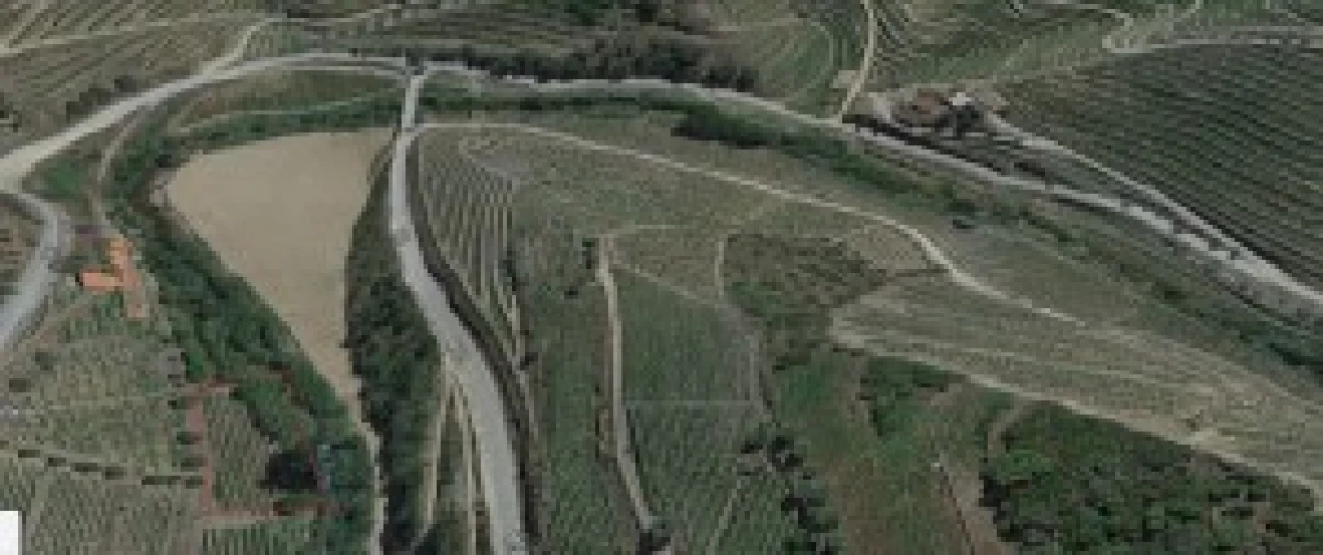 Terreno para Venda em São João da Pesqueira e Várzea de Trevões Foto 8
