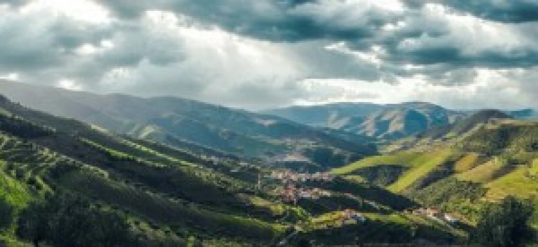 Terreno para Venda em São João da Pesqueira e Várzea de Trevões Foto 9