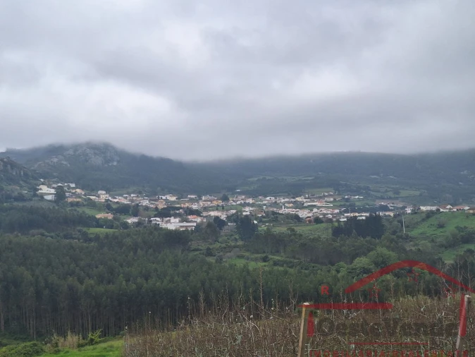 Moradia T0 para Venda em Lamas e Cercal Foto 13