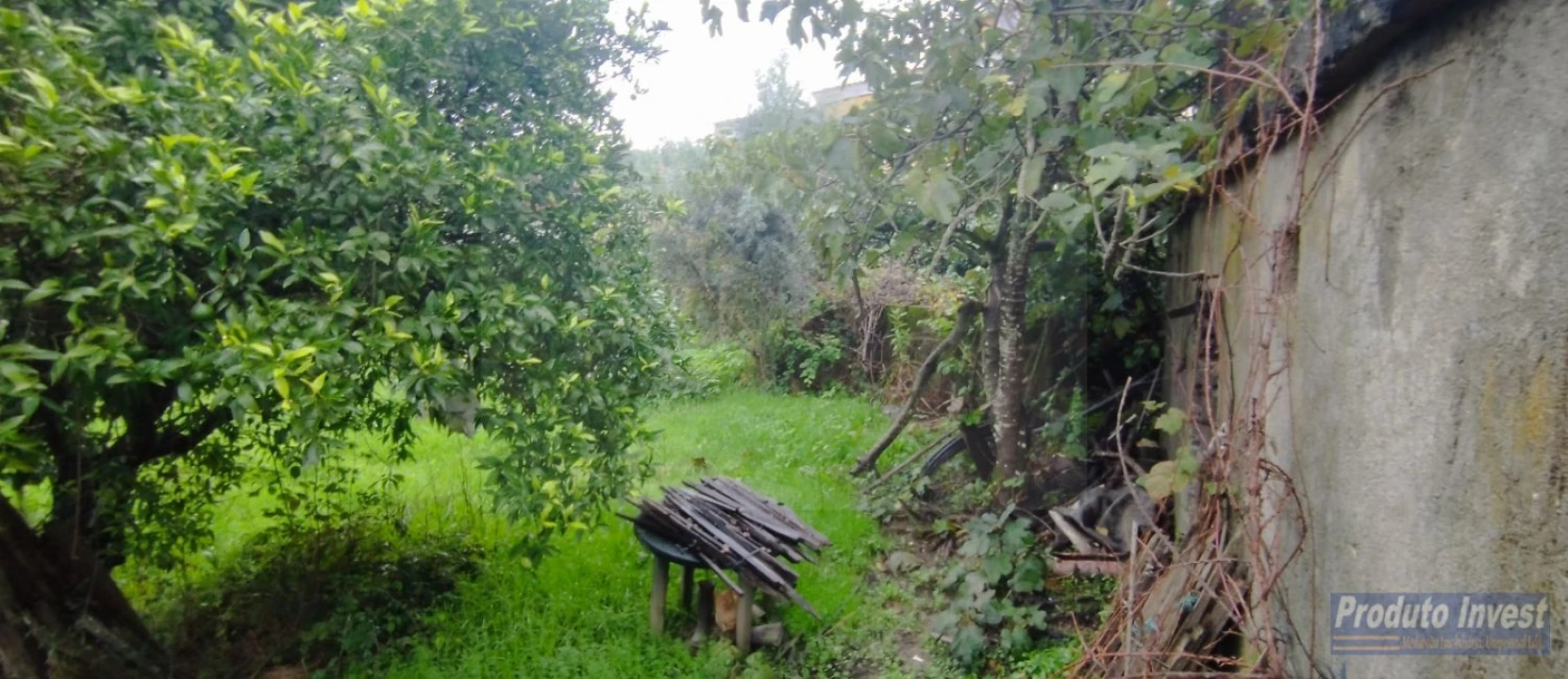 Terreno para Venda em Fundão, Valverde, Donas, A. Joanes, A. Nova Cabo Foto 5
