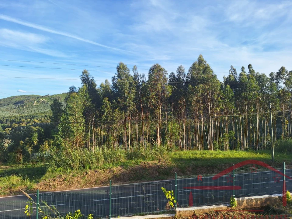 Moradia T3 para Venda em Lamas e Cercal Foto 38