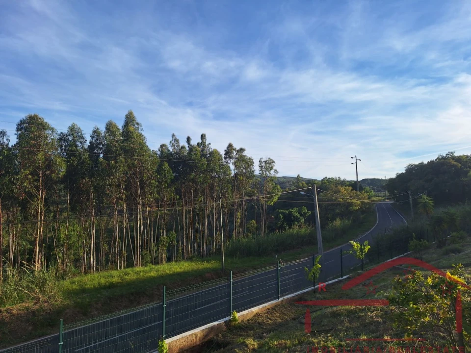 Moradia T3 para Venda em Lamas e Cercal Foto 39