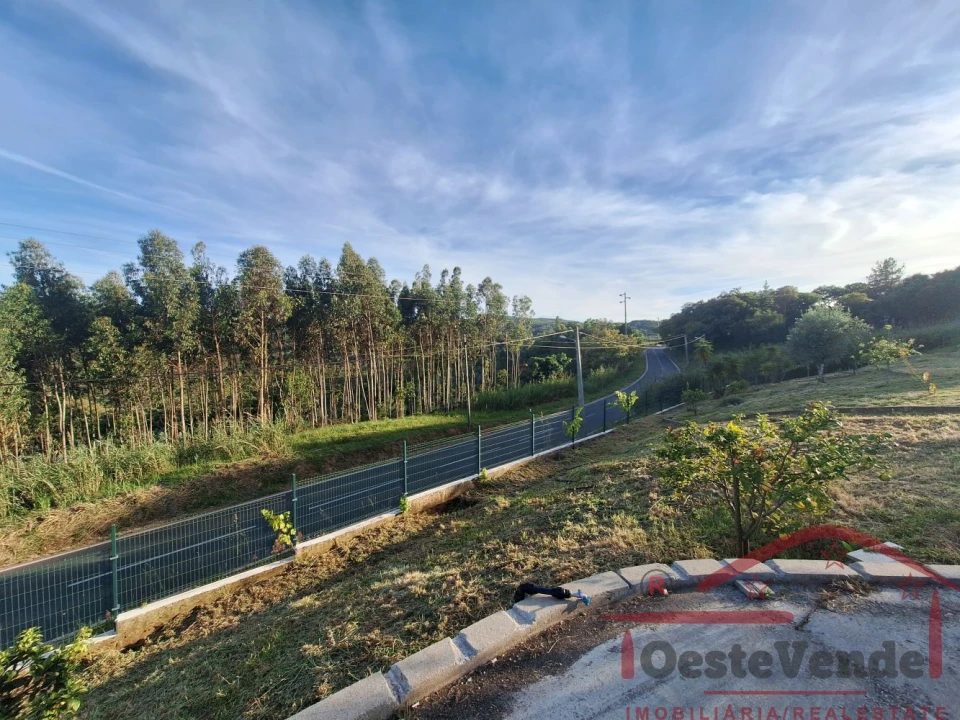 Moradia T3 para Venda em Lamas e Cercal Foto 40