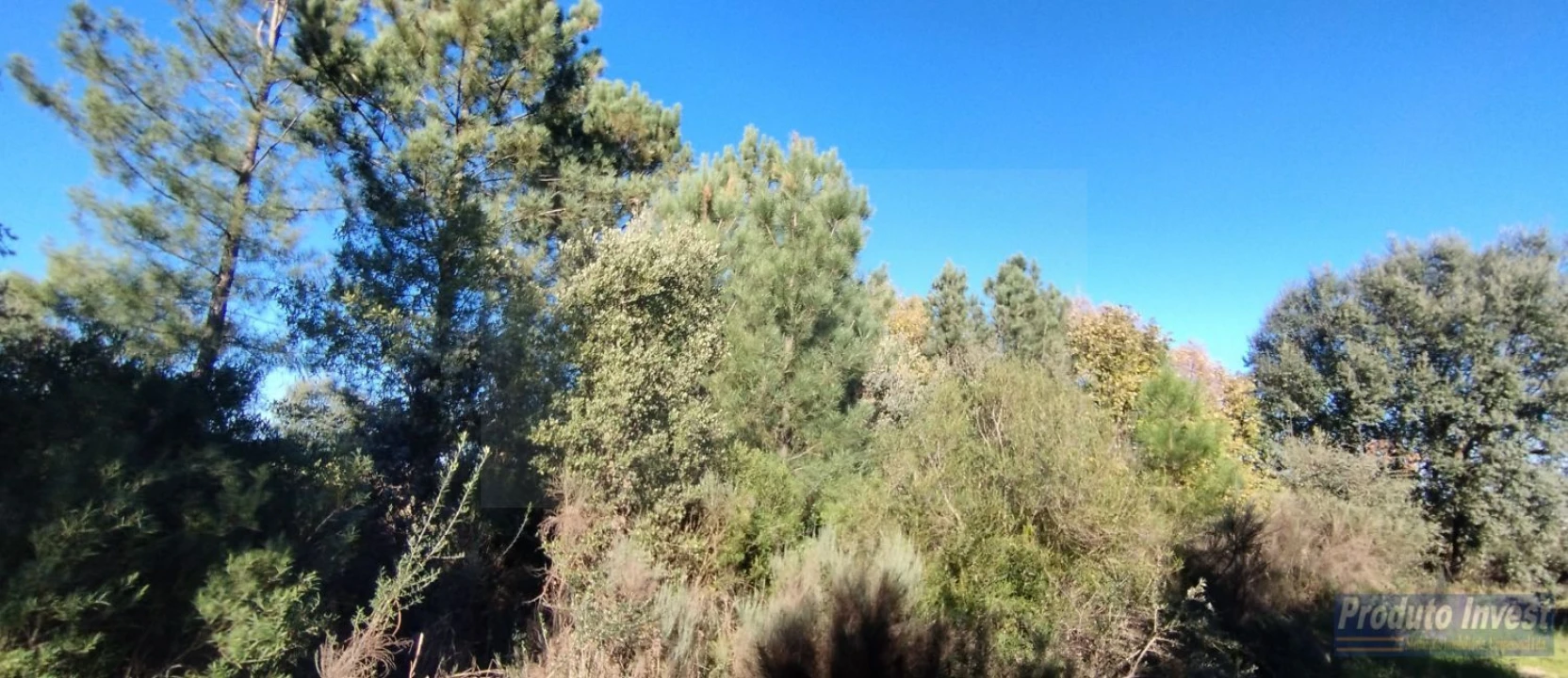 Terreno para Venda em Fundão, Valverde, Donas, A. Joanes, A. Nova Cabo Foto 11