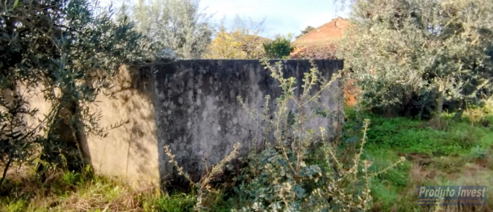 Terreno para Venda em Fundão, Valverde, Donas, A. Joanes, A. Nova Cabo Foto 20
