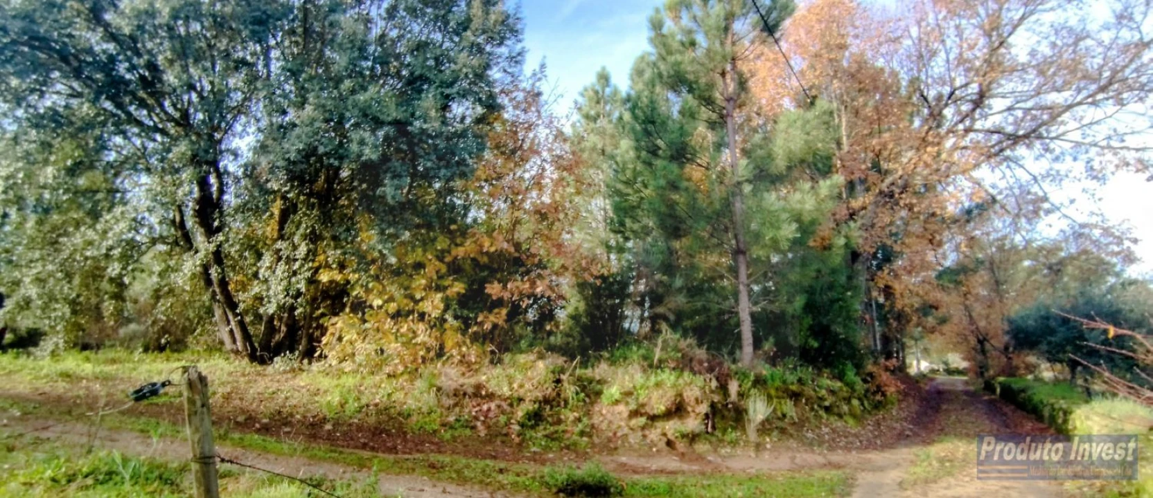 Terreno para Venda em Fundão, Valverde, Donas, A. Joanes, A. Nova Cabo Foto 12