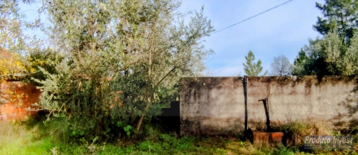 Terreno para Venda em Fundão, Valverde, Donas, A. Joanes, A. Nova Cabo Foto 17