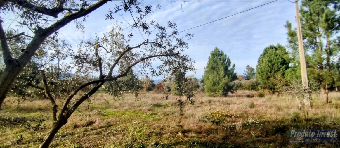 Terreno para Venda em Fundão, Valverde, Donas, A. Joanes, A. Nova Cabo Foto 5