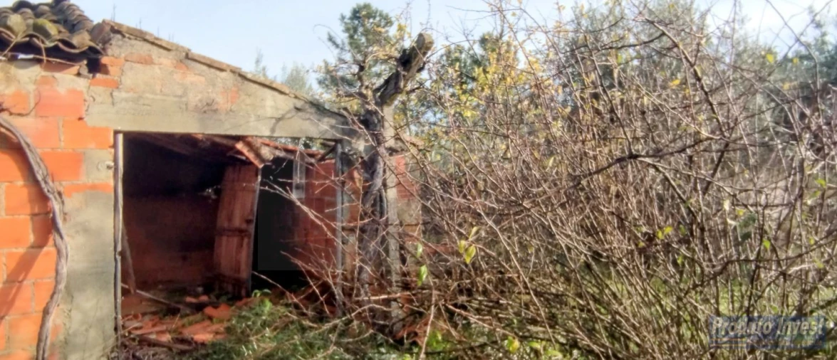 Terreno para Venda em Fundão, Valverde, Donas, A. Joanes, A. Nova Cabo Foto 16