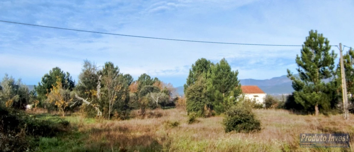 Terreno para Venda em Fundão, Valverde, Donas, A. Joanes, A. Nova Cabo Foto 4