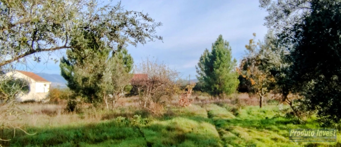 Terreno para Venda em Fundão, Valverde, Donas, A. Joanes, A. Nova Cabo Foto 3