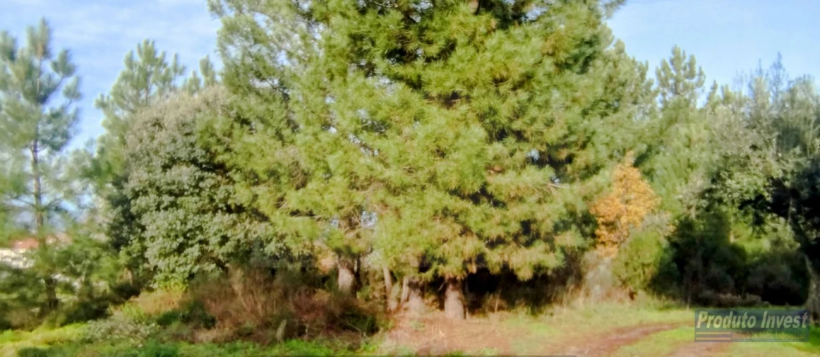 Terreno para Venda em Fundão, Valverde, Donas, A. Joanes, A. Nova Cabo Foto 13
