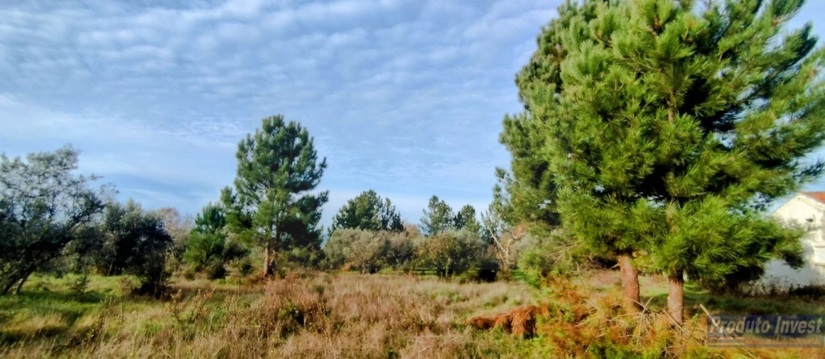 Terreno para Venda em Fundão, Valverde, Donas, A. Joanes, A. Nova Cabo Foto 25
