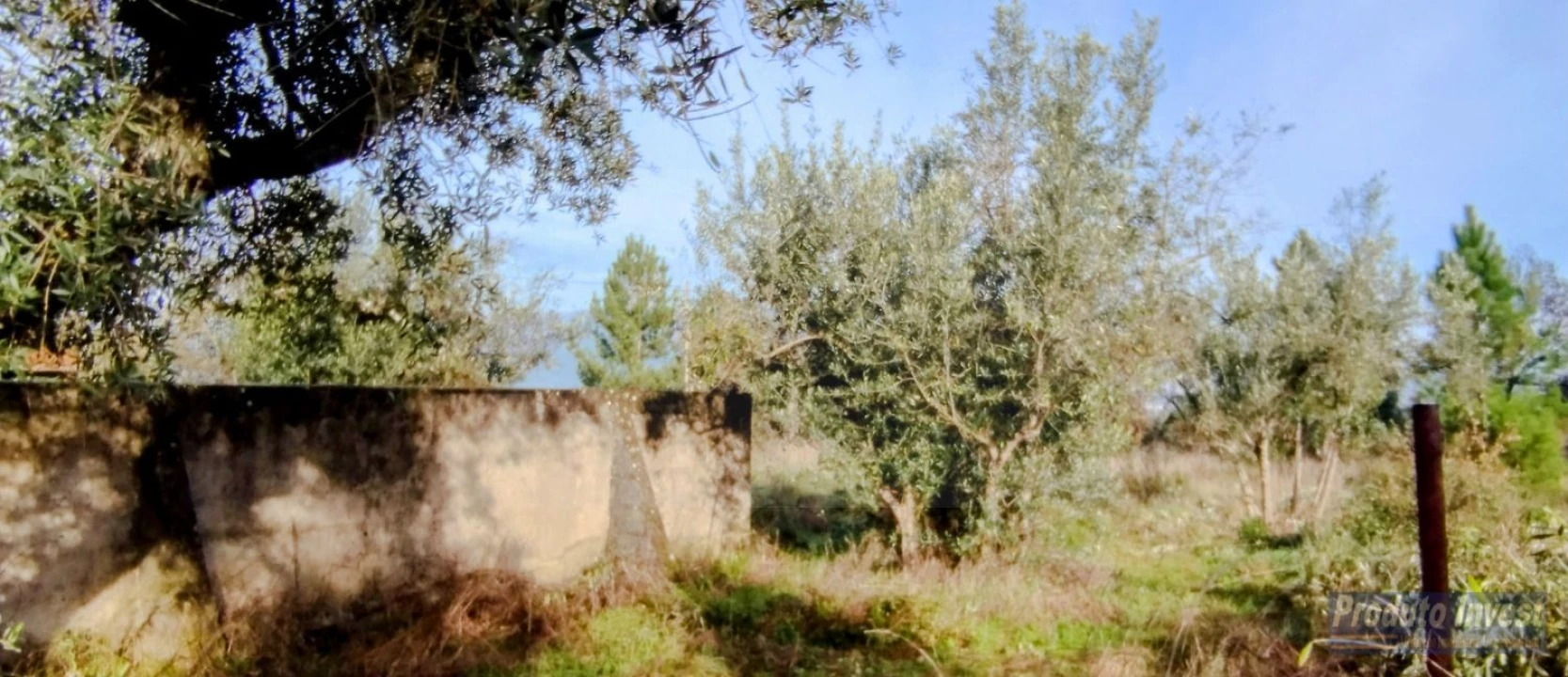 Terreno para Venda em Fundão, Valverde, Donas, A. Joanes, A. Nova Cabo Foto 18