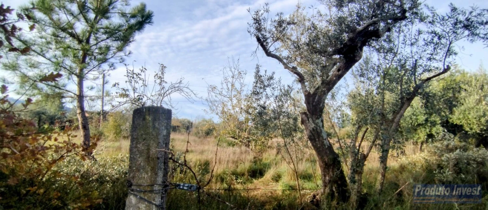 Terreno para Venda em Fundão, Valverde, Donas, A. Joanes, A. Nova Cabo Foto 24